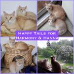 Harmony (19-002-C) and Hanna (19-007-C) Image